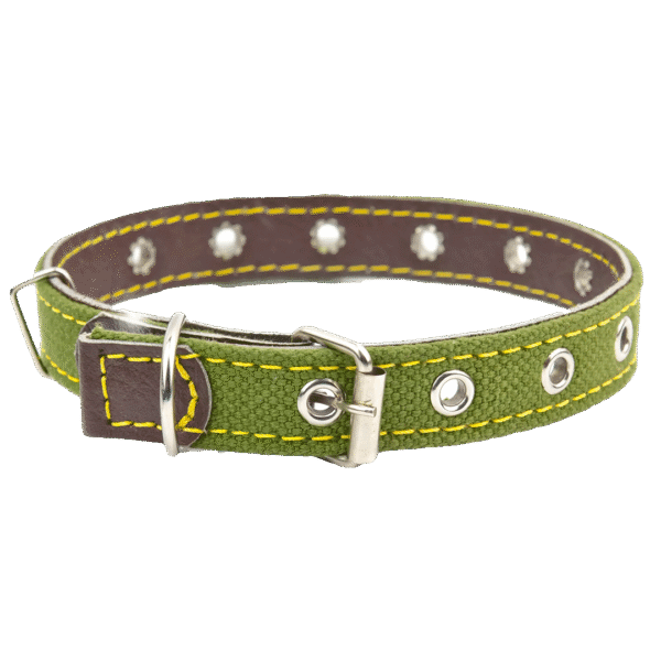 Adjustable Canvas Pet Collar – Durable Green Neck Strap for Dogs & Cats
