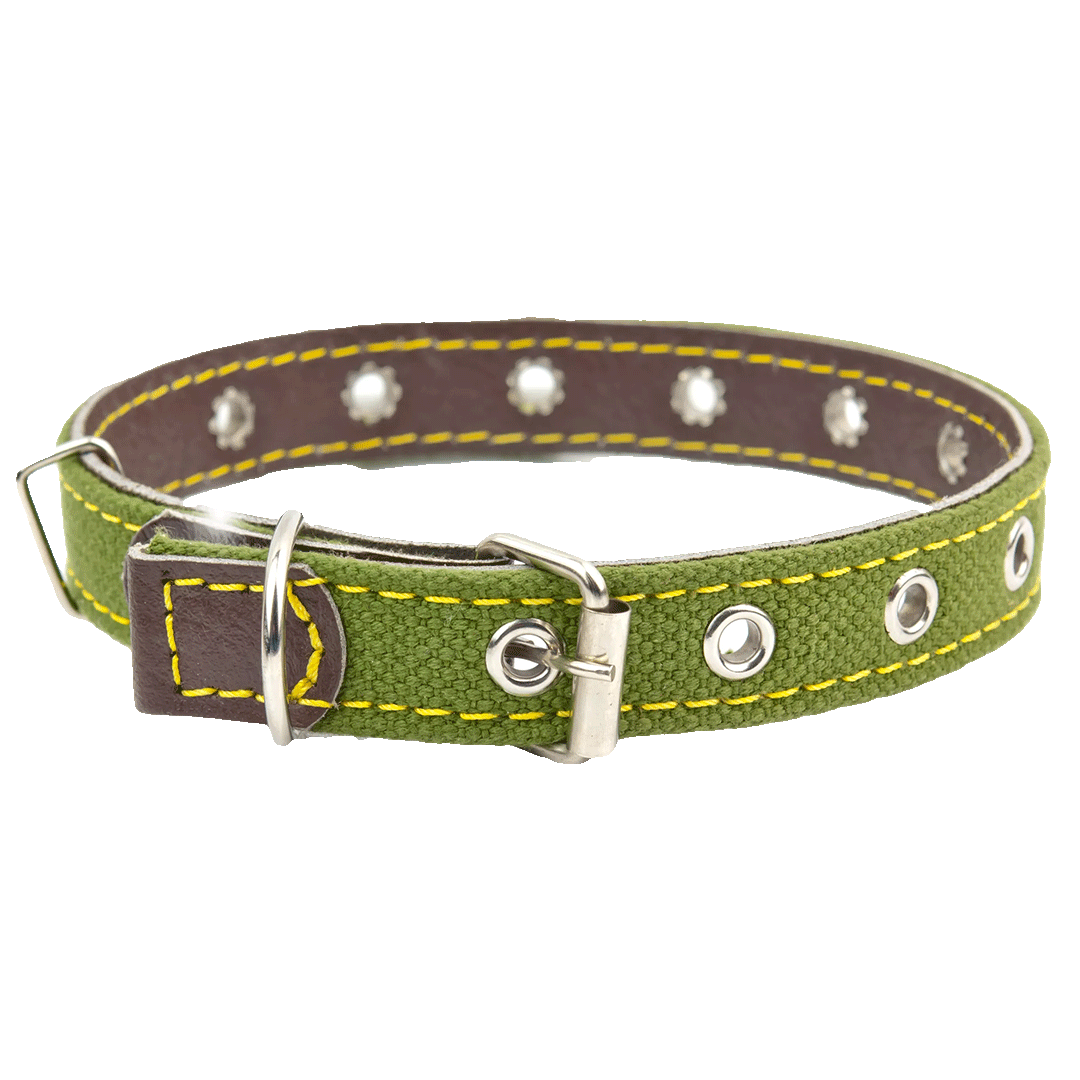 Adjustable Canvas Pet Collar – Durable Green Neck Strap for Dogs & Cats