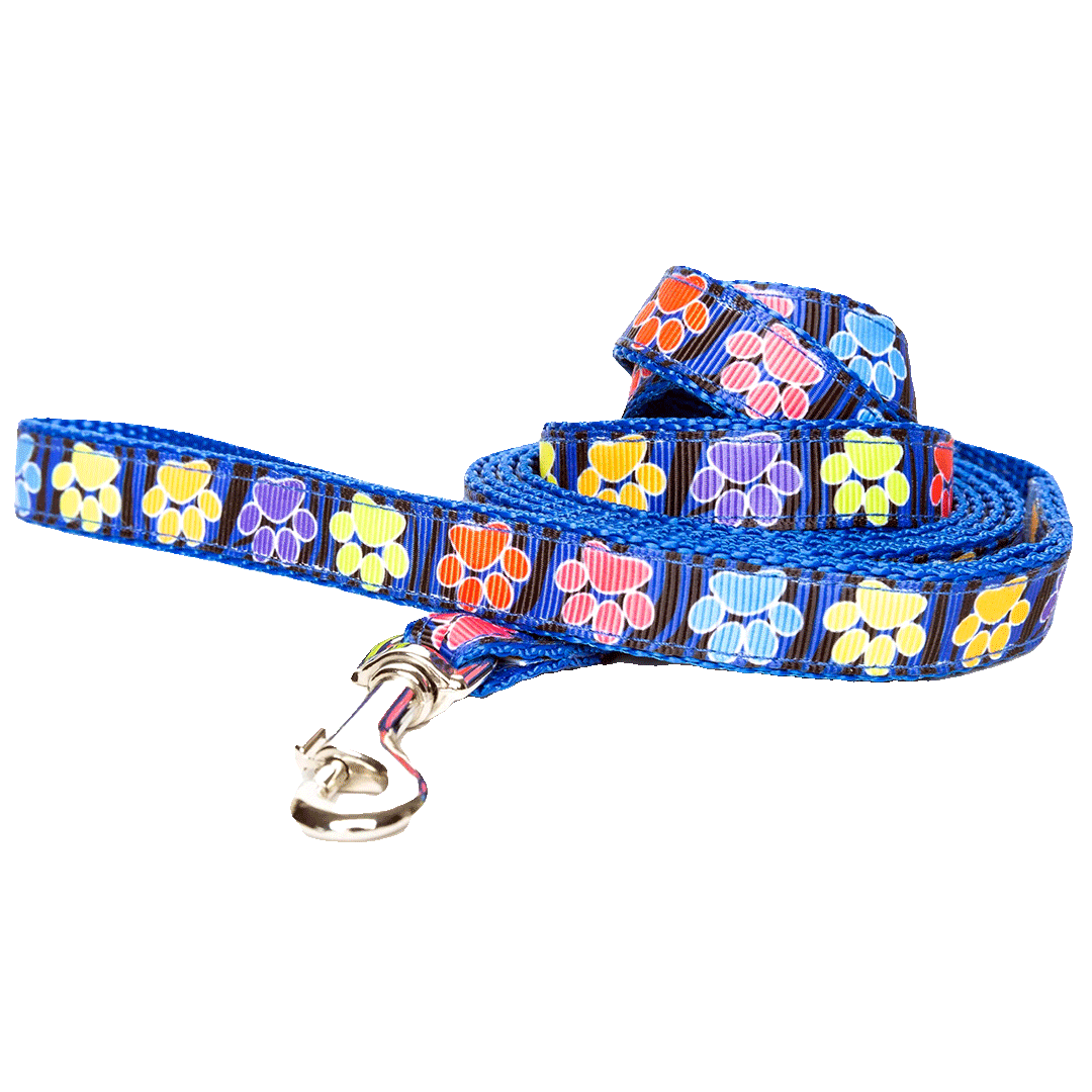 Colorful Paw Print Pet Leash – Durable Nylon Lead for Dogs & Cats
